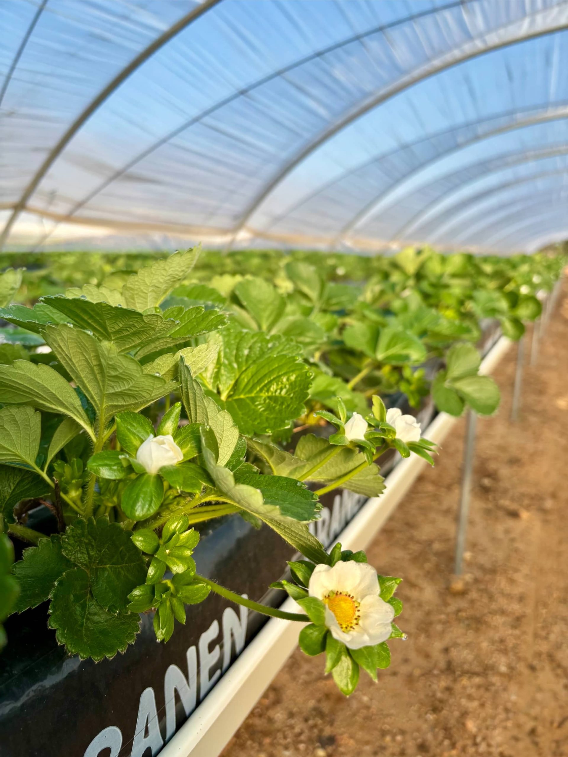 correduría de seguros en Huelva